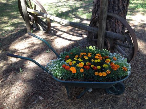 ideas for old wheelbarrows|decorating ideas for old wheelbarrows.